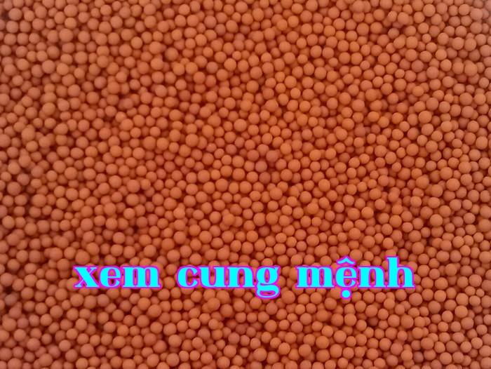 Cầu đất