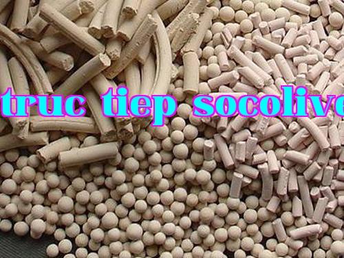 Công ty Cổ phần Nam Hoa Tập đoàn Thần Hoa Trung Quốc